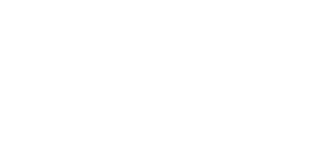 BrandLumo Marketing Company Logo