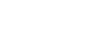 BrandLumo Marketing Company Logo